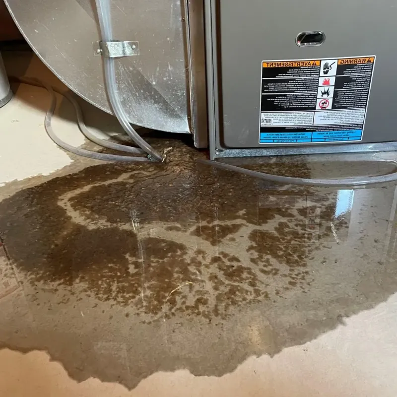 Pipe Burst and Leak Restoration in Norton, KS